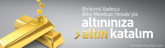altın
